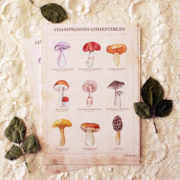“Mushrooms” A5 Postcard — MinaSmoke