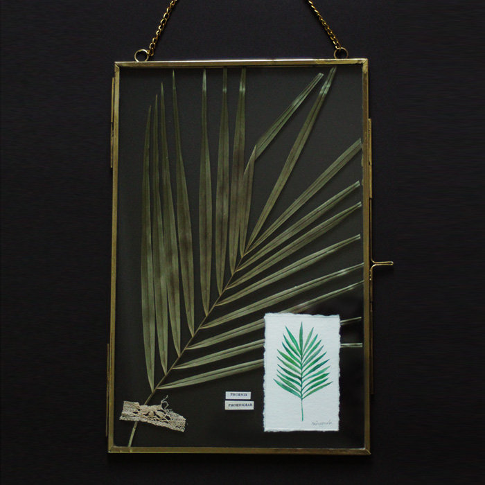 Cadre herbier « Phoenix » — MinaSmoke